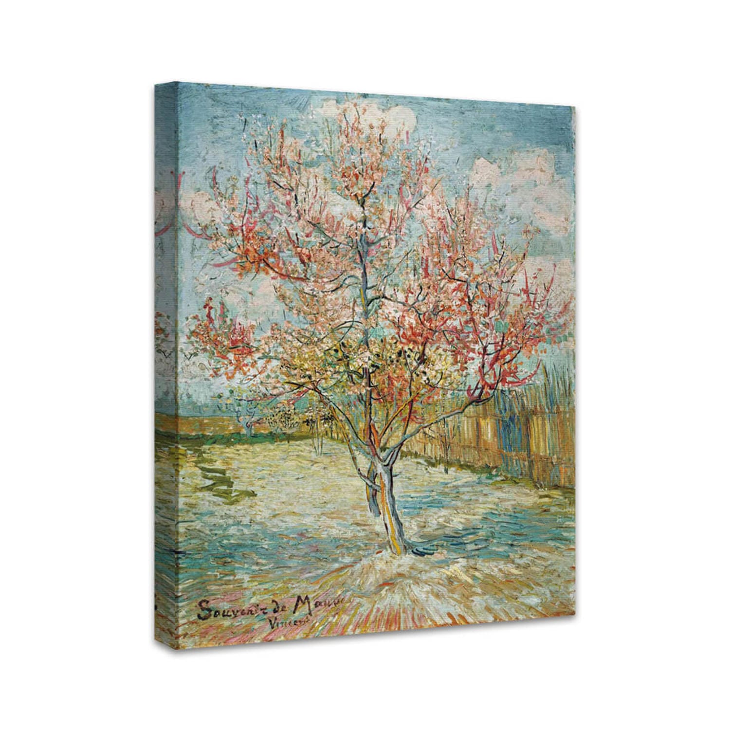 Blühender Pfirsichbaum (Erinnerung an Mauve) |  Vincent van Gogh