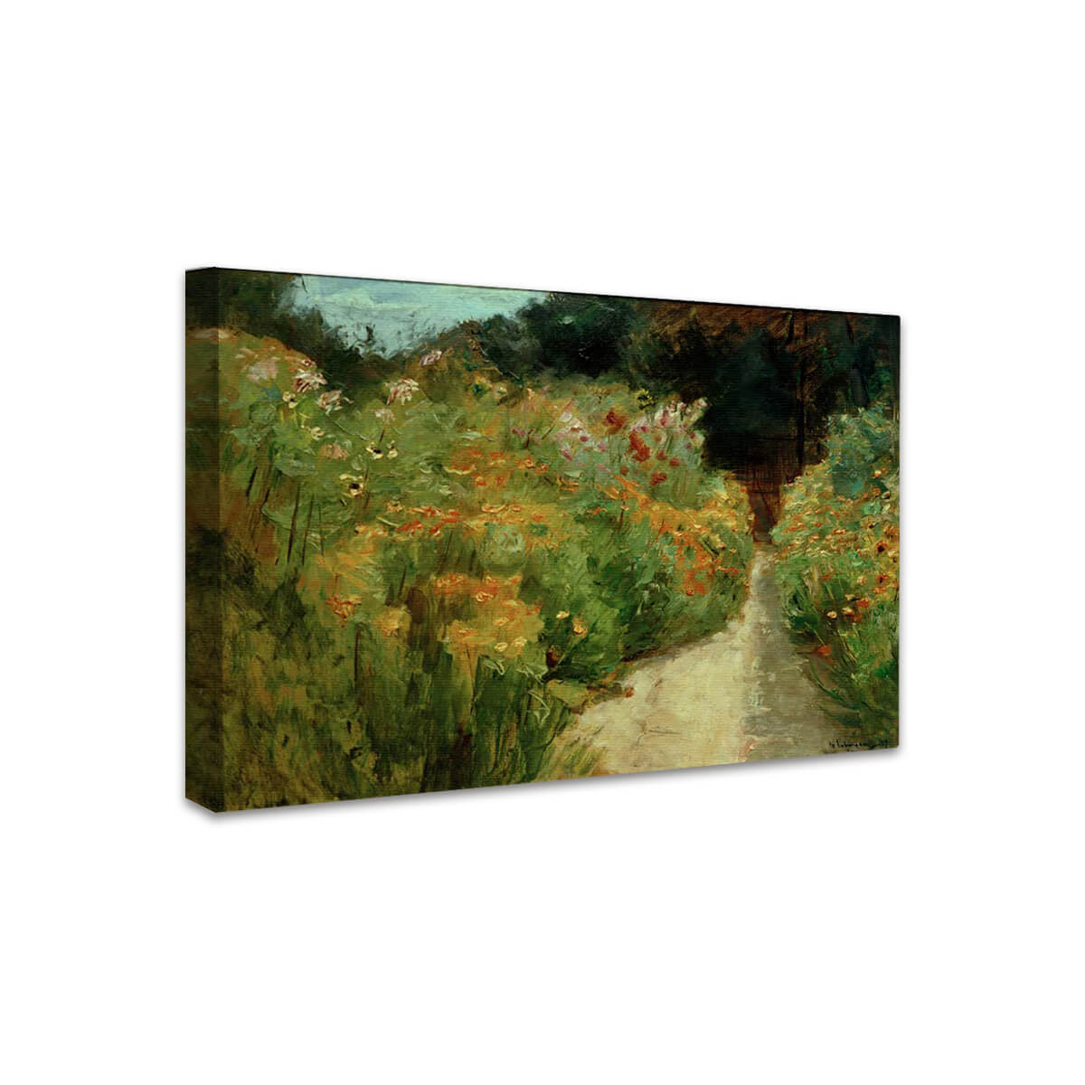 Blumenstauden im Wannseegarten | Max Liebermann