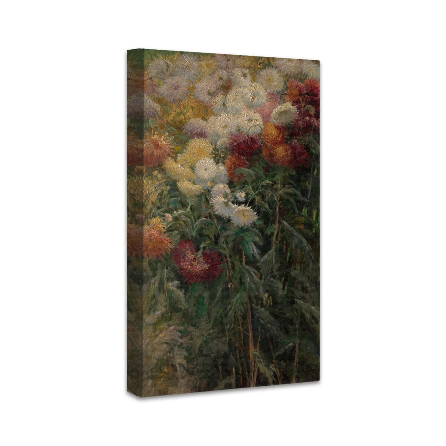 Chrysanthemen im Garten von Petit-Gennevilliers | Gustave Caillebotte