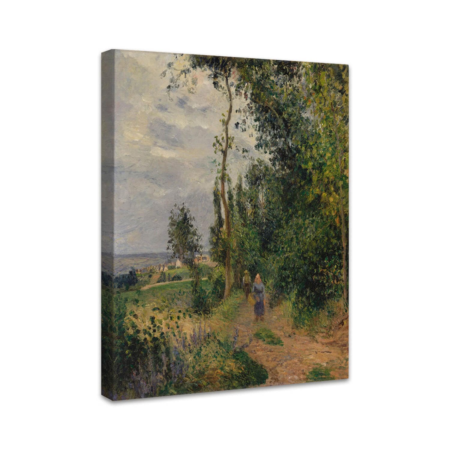 Côte des Grouettes, in der Nähe von Pontoise | Camille Pissarro