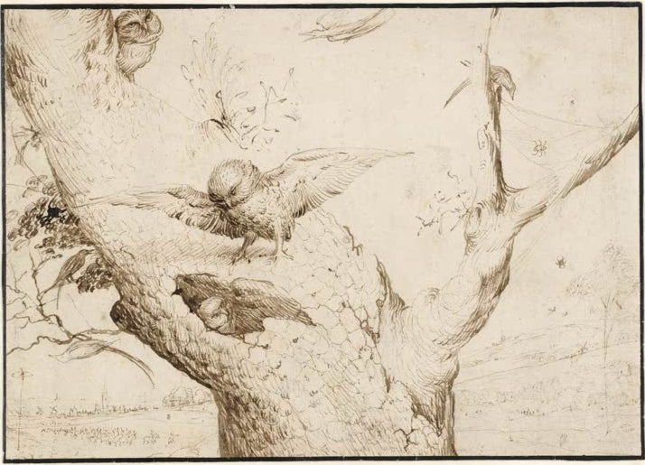 Kunstdruck „Das Eulennest“ von Hieronymus Bosch mit Eulenmotiv, Naturdetails und symbolischer Bildwirkung
