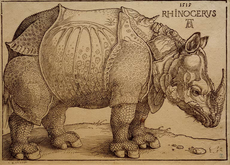 Kunstdruck „Das Rhinozeros“ von Albrecht Dürer mit detailreicher Tierdarstellung im Stil der Renaissance