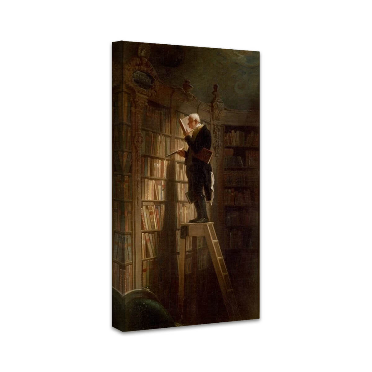 Der Bücherwurm | Carl Spitzweg