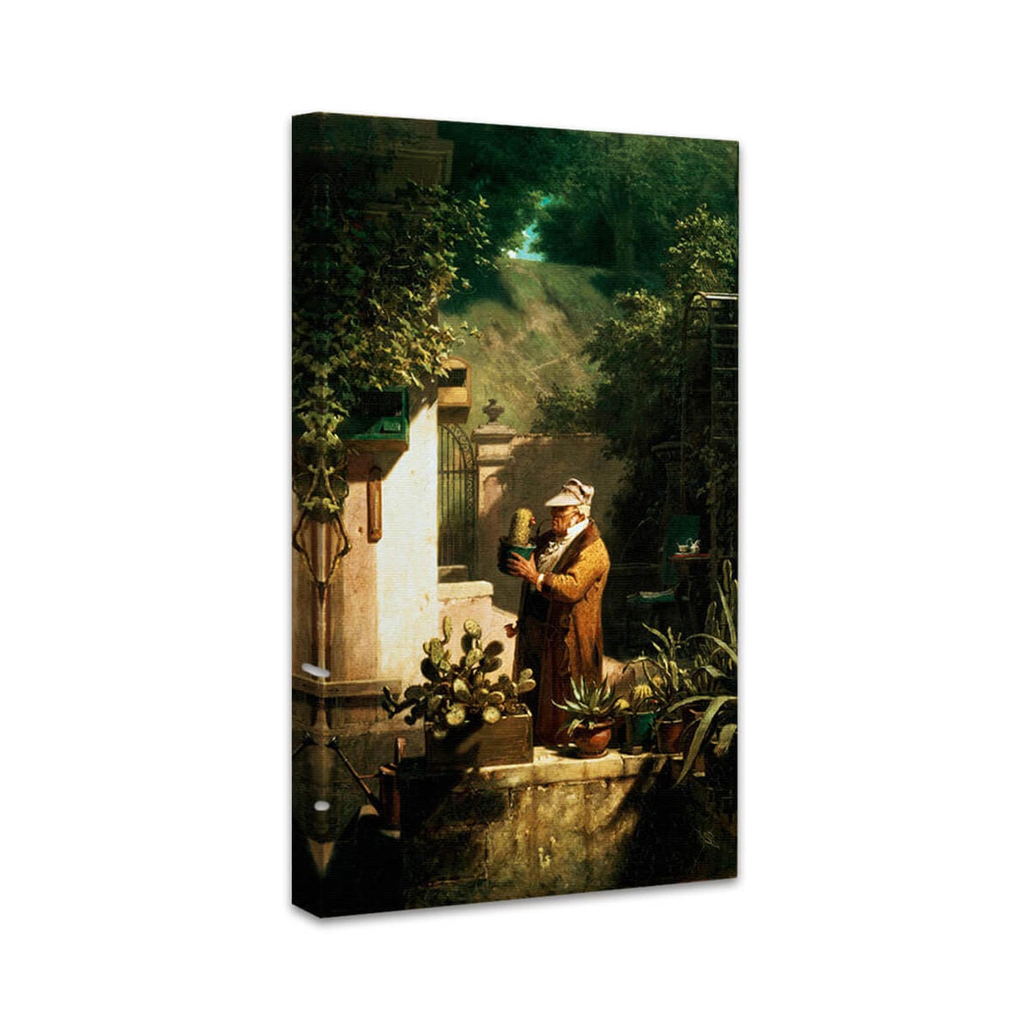 Der Pfarrer als Kaktusliebhaber | Carl Spitzweg