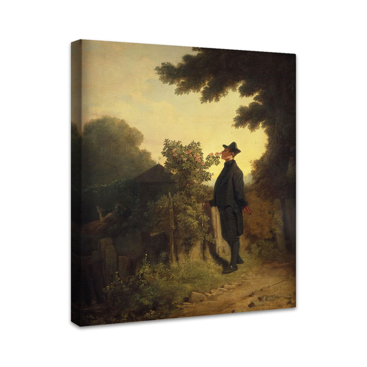 Der Rosenfreund | Carl Spitzweg