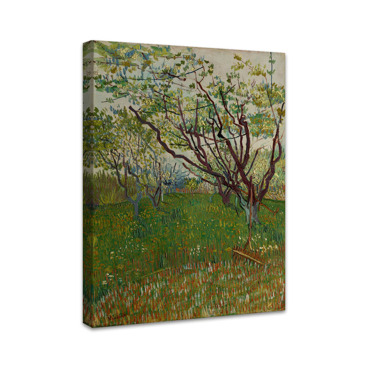 Der blühende Obstgarten | Vincent van Gogh