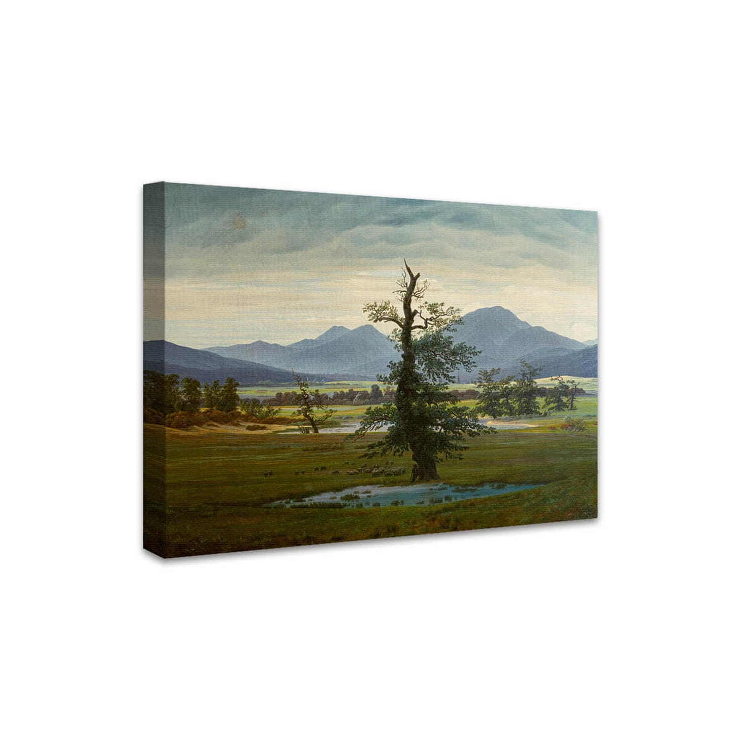 Der einsame Baum | Caspar David Friedrich