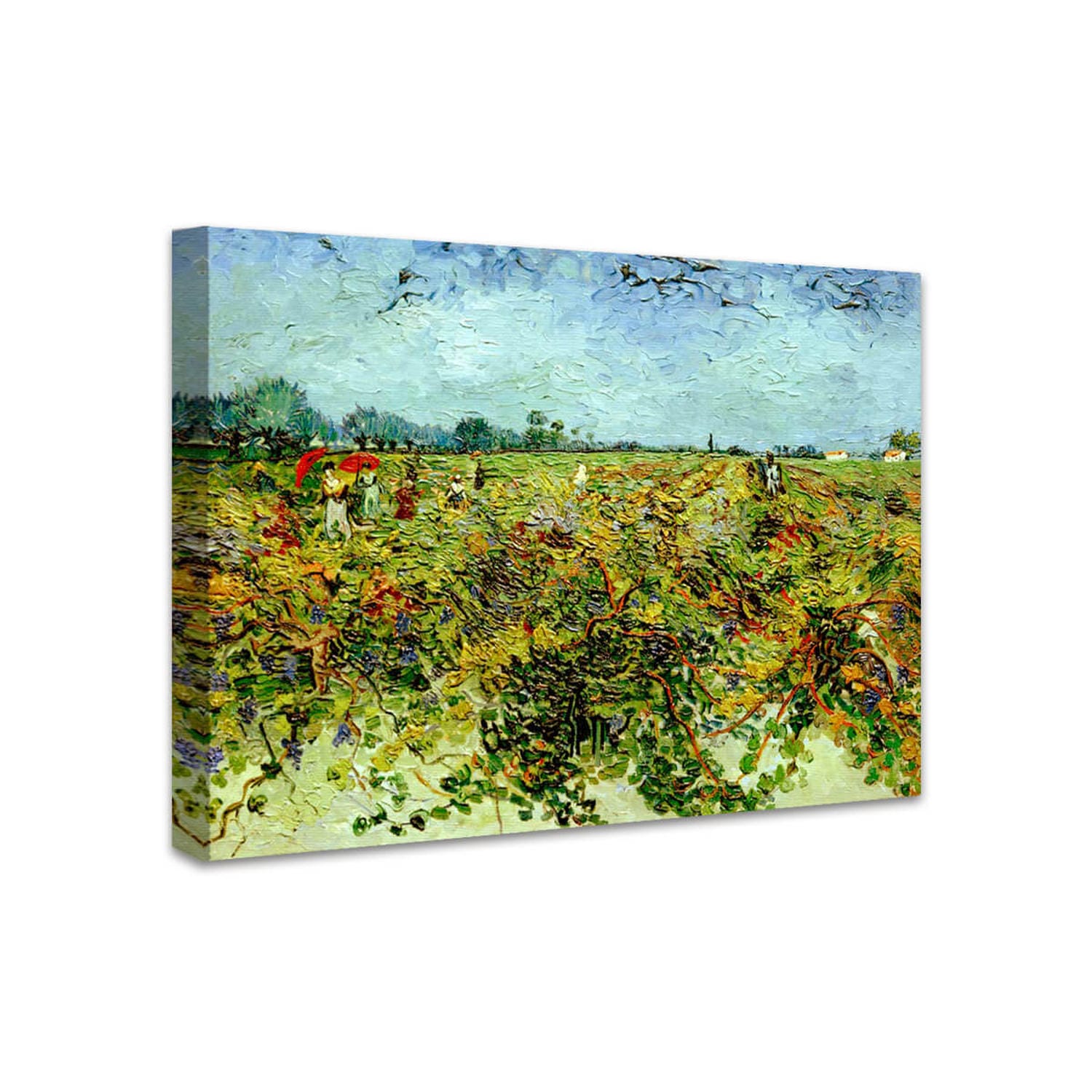 Der grüne Weinberg | Vincent van Gogh