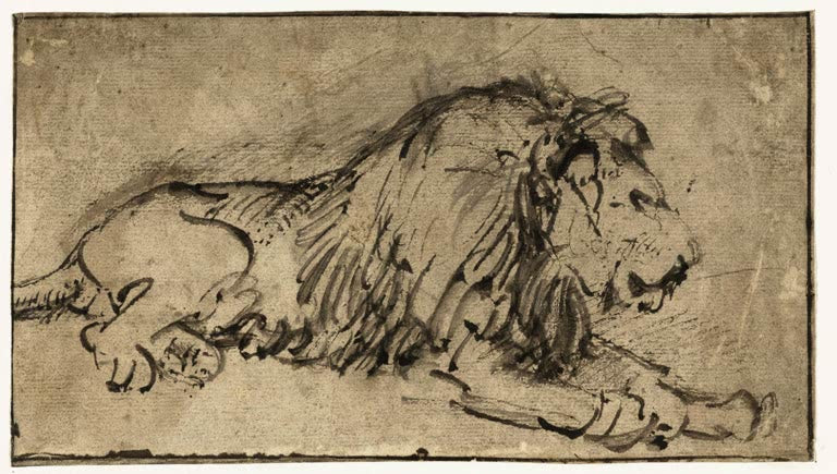Kunstdruck „Der liegende Löwe, nach rechts gewandt“ von Rembrandt van Rijn

