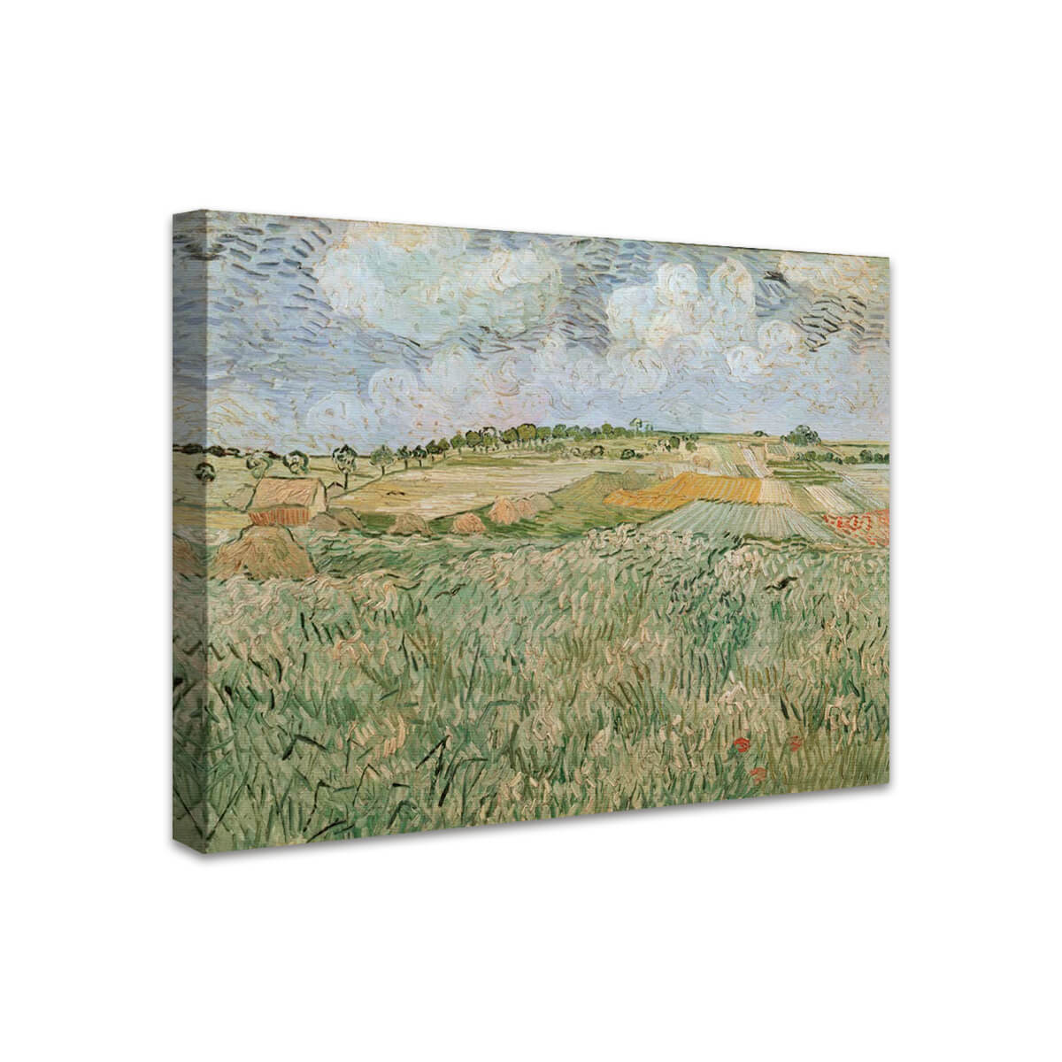 Die Ebene bei Auvers mit Regenwolken | Vincent van Gogh