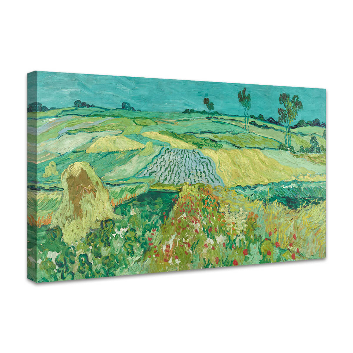 Die Ebene von Auvers | Vincent van Gogh