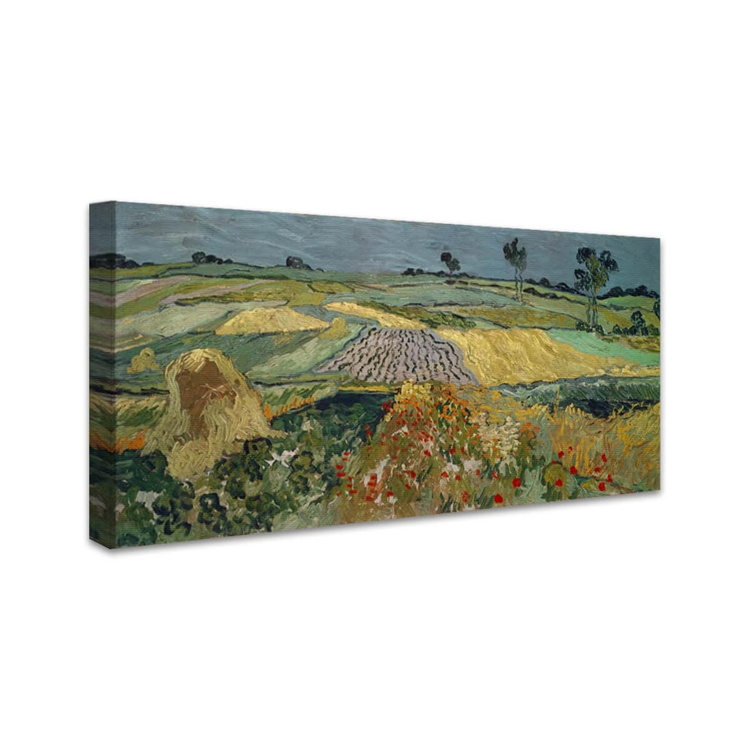 Die Ebene von Auvers | Vincent van Gogh