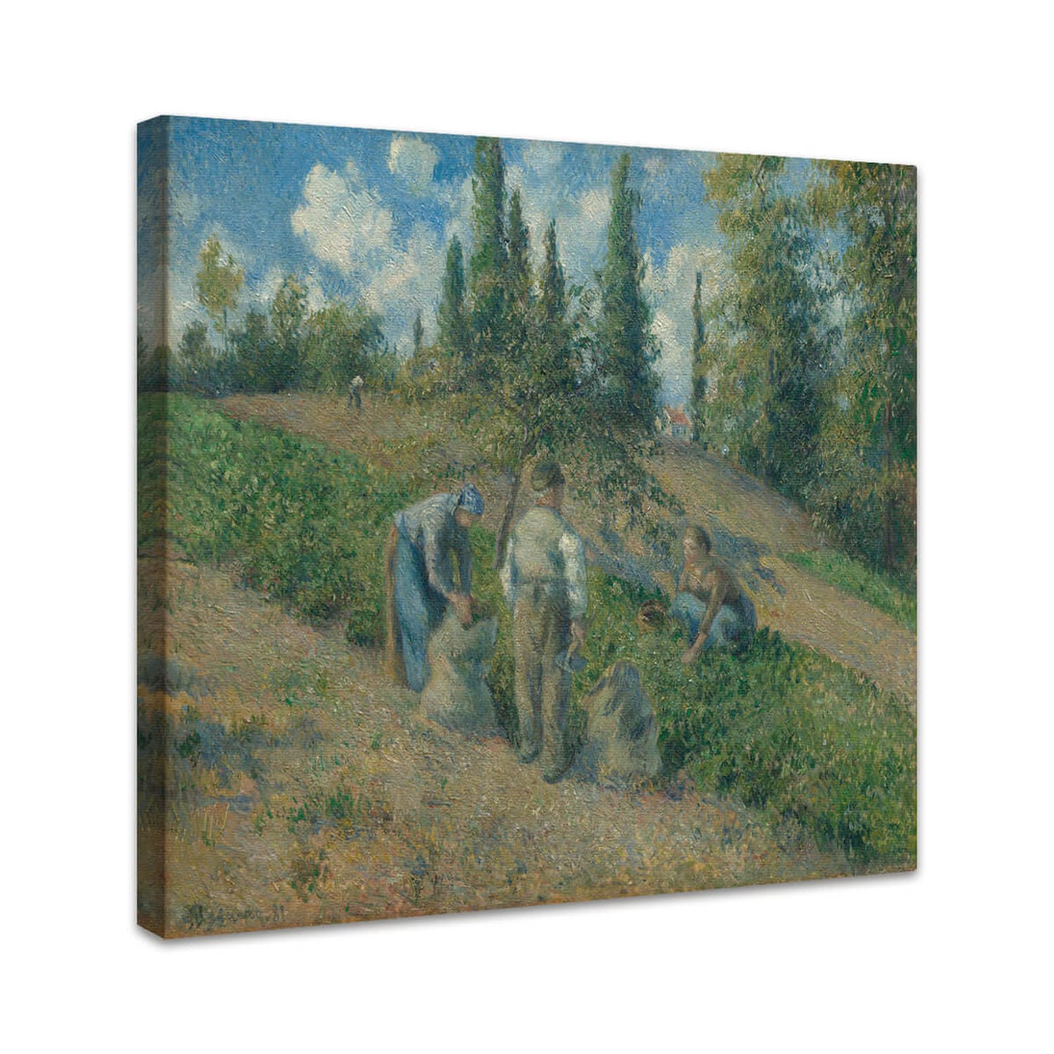 Die Ernte, Pontoise | Camille Pissarro