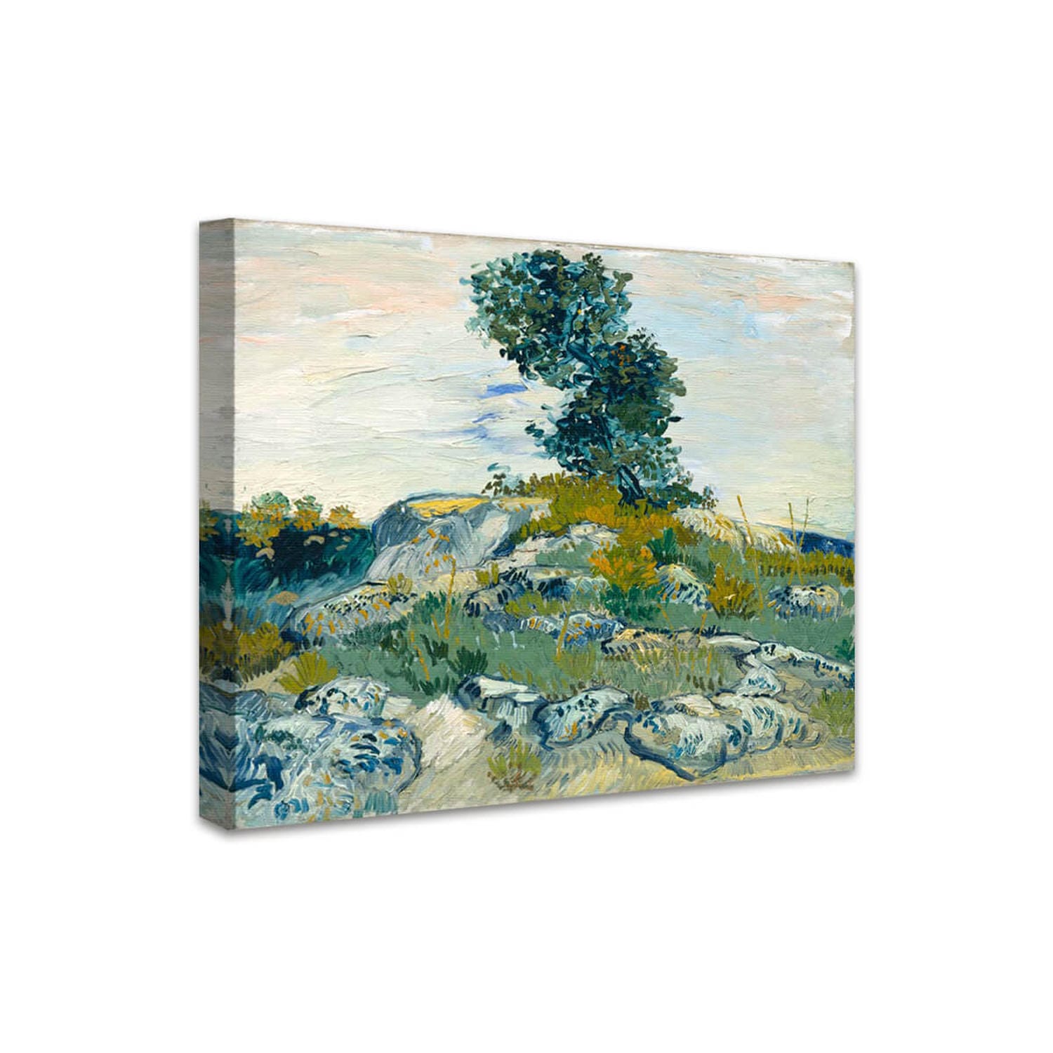 Die Felsbrocken | Vincent van Gogh