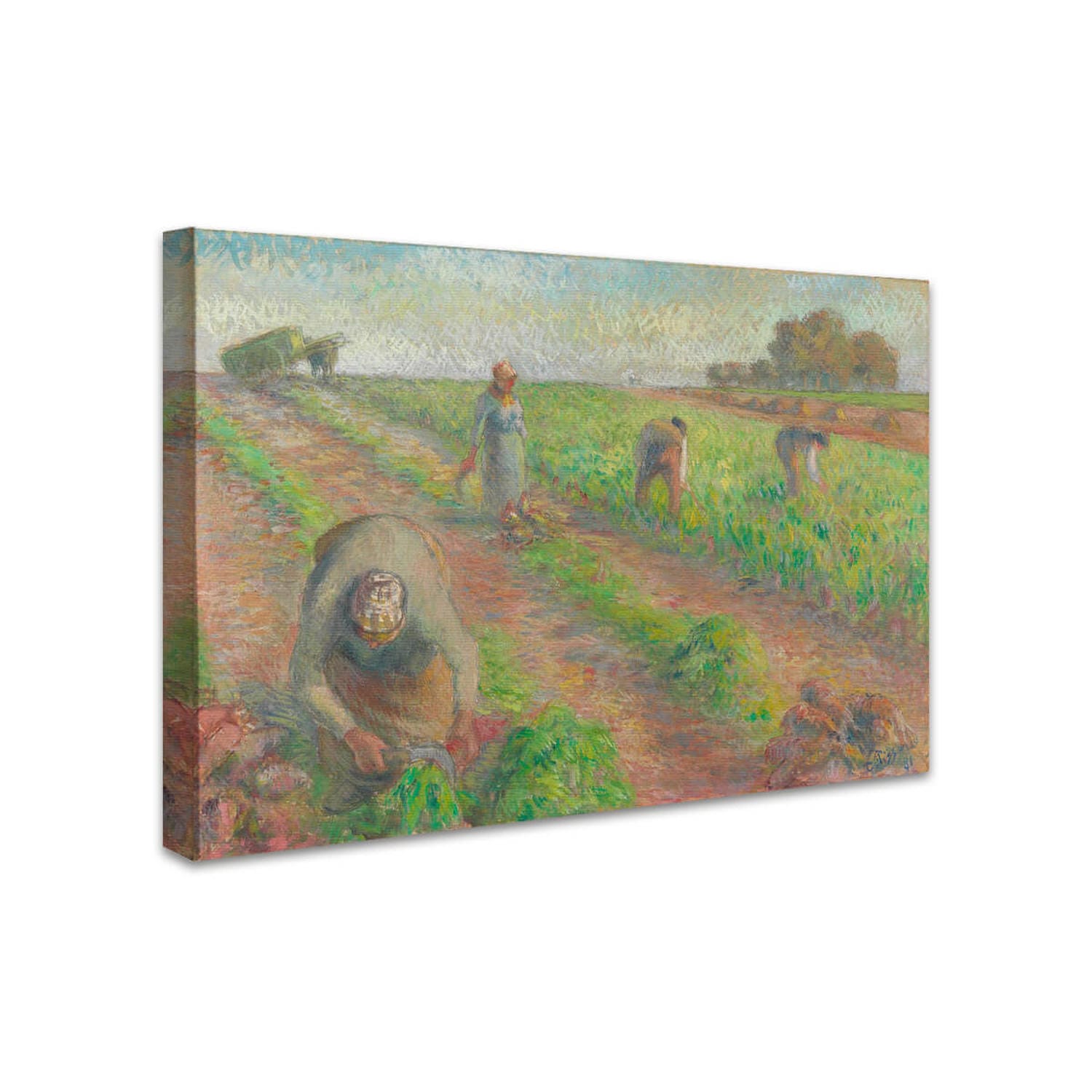 Die Rübenernte | Camille Pissarro