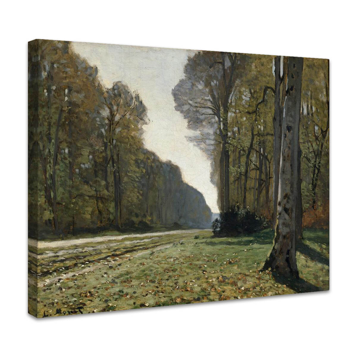 Die Straße von Chailly im Wald von Fontainebleau | Claude Monet