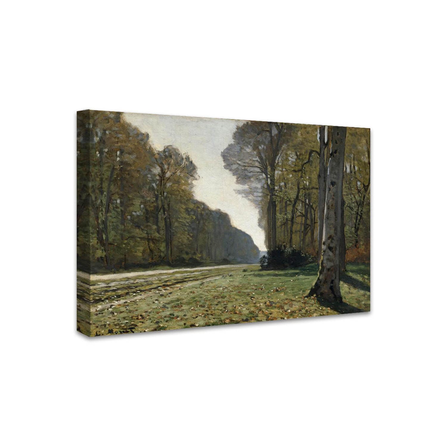 Die Straße von Chailly im Wald von Fontainebleau | Claude Monet