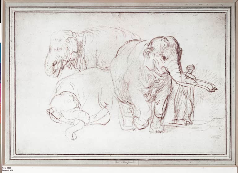 Kunstdruck von Rembrandts Zeichnung „Drei Elefanten“ mit der detailreichen Darstellung von drei Elefanten.