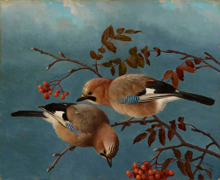Kunstdruck Eichelhäher von Ferdinand von Wright als hochwertiger Wanddruck