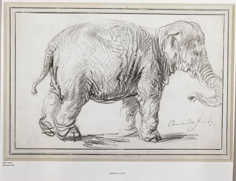 Kunstdruck von Rembrandts Zeichnung „Ein Elefant“ mit der detailreichen Darstellung eines Elefanten.