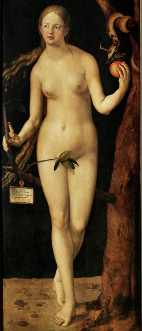 Kunstdruck des Gemäldes „Eva“ von Albrecht Dürer in hochwertiger Druckqualität. Erhältlich als Leinwand oder Poster, auf Wunsch auch gerahmt.