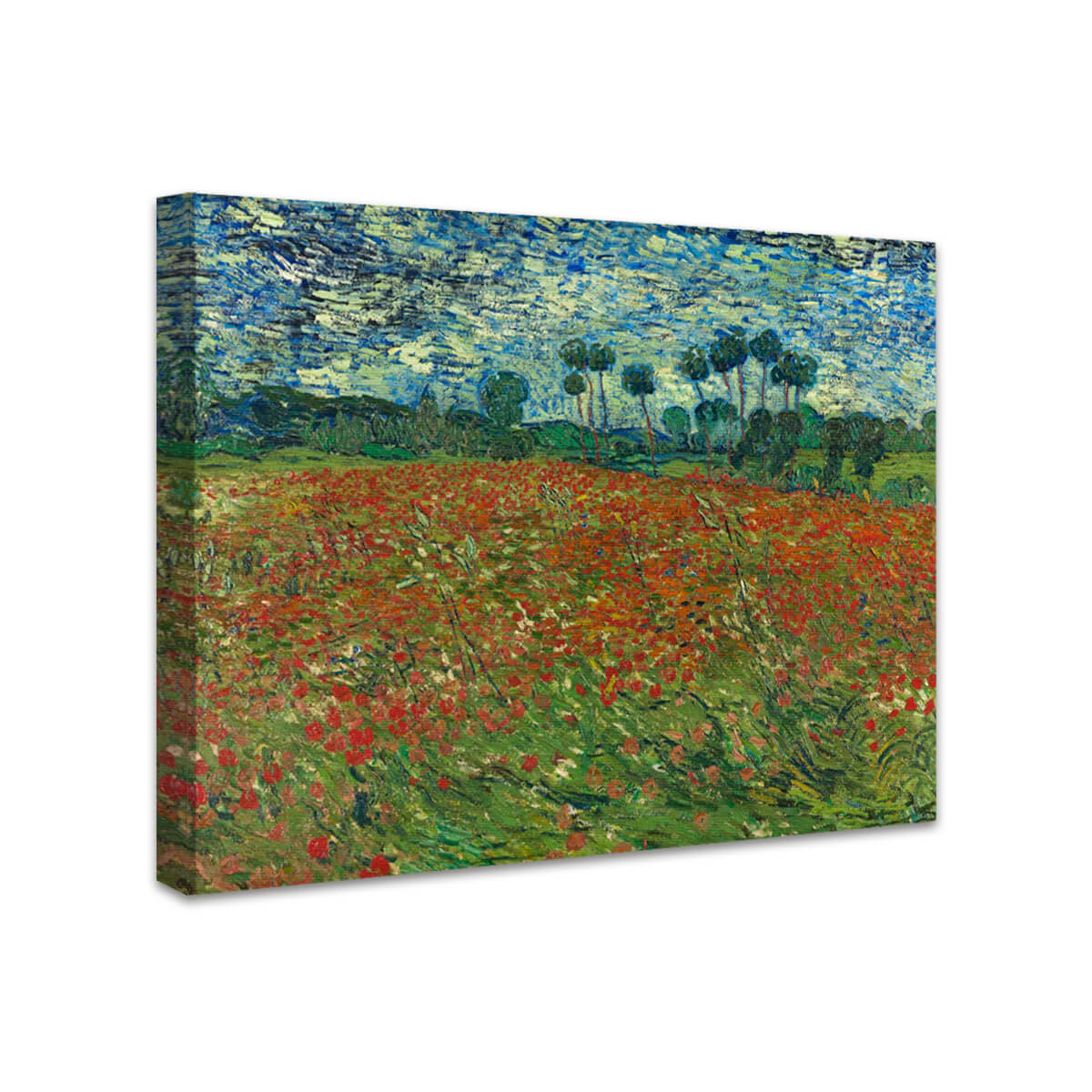 Feld mit Mohnblumen, Auves-sur-Oise | Vincent van Gogh