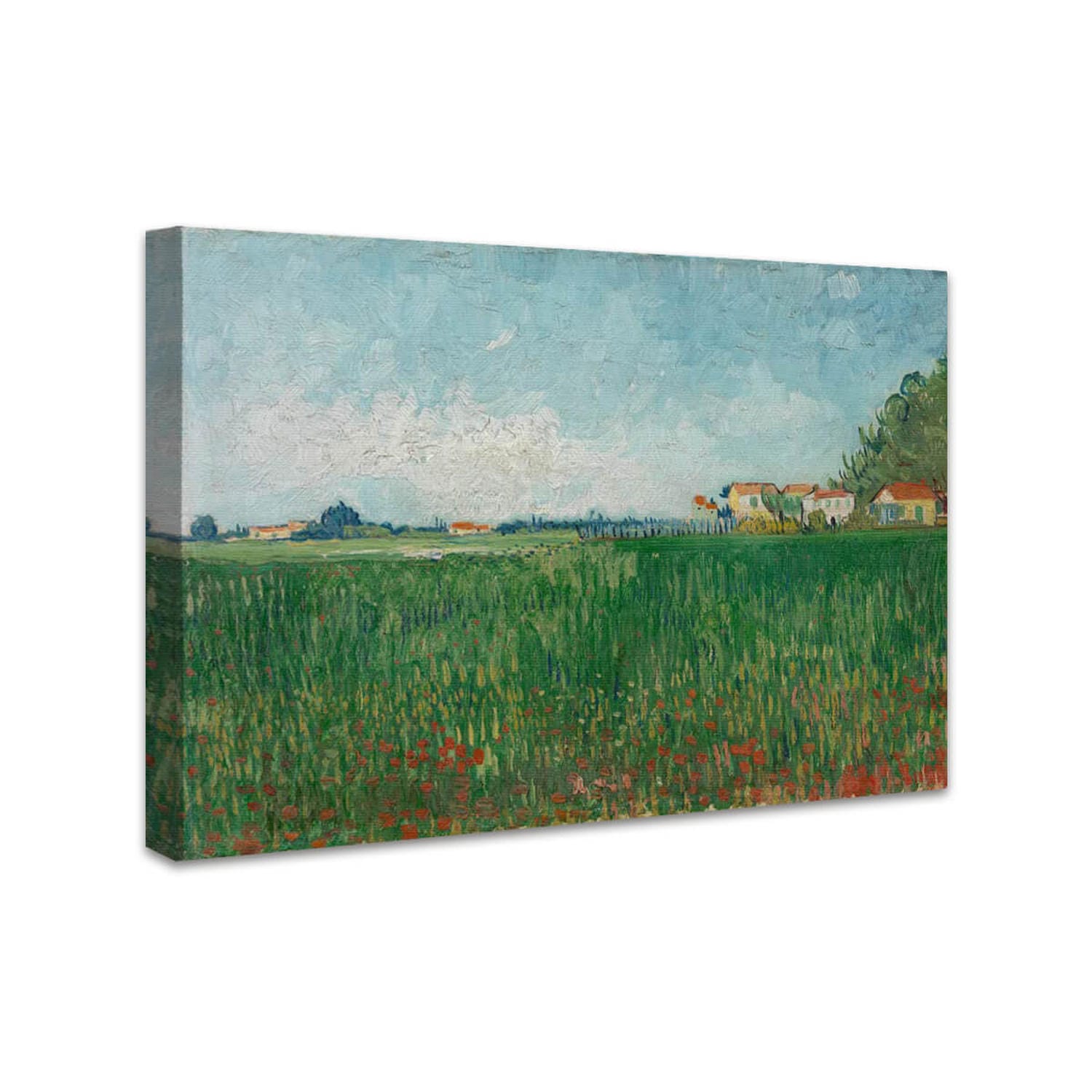 Feld mit Mohnblumen | Vincent van Gogh