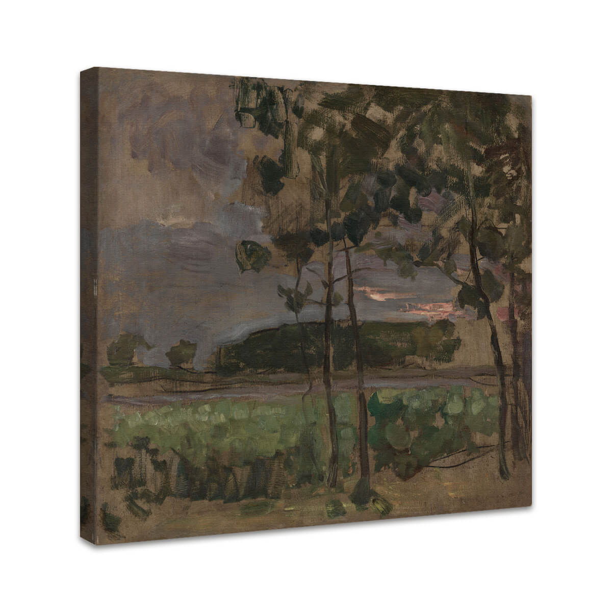 Feld mit jungen Bäumen im Vordergrund | Piet Mondrian
