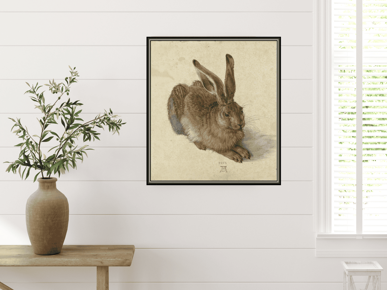 Feldhase | Albrecht Dürer