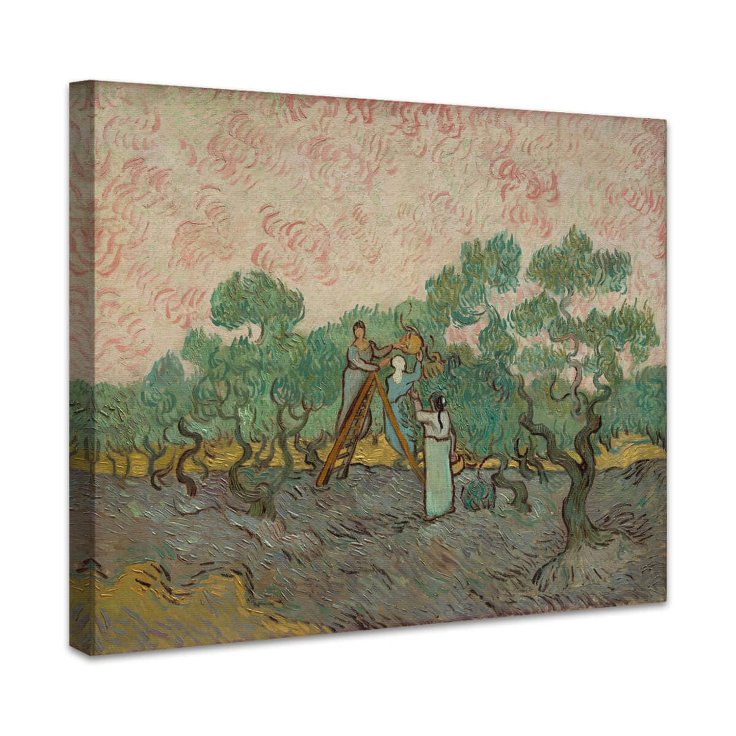Frauen beim Olivenpflücken | Vincent van Gogh