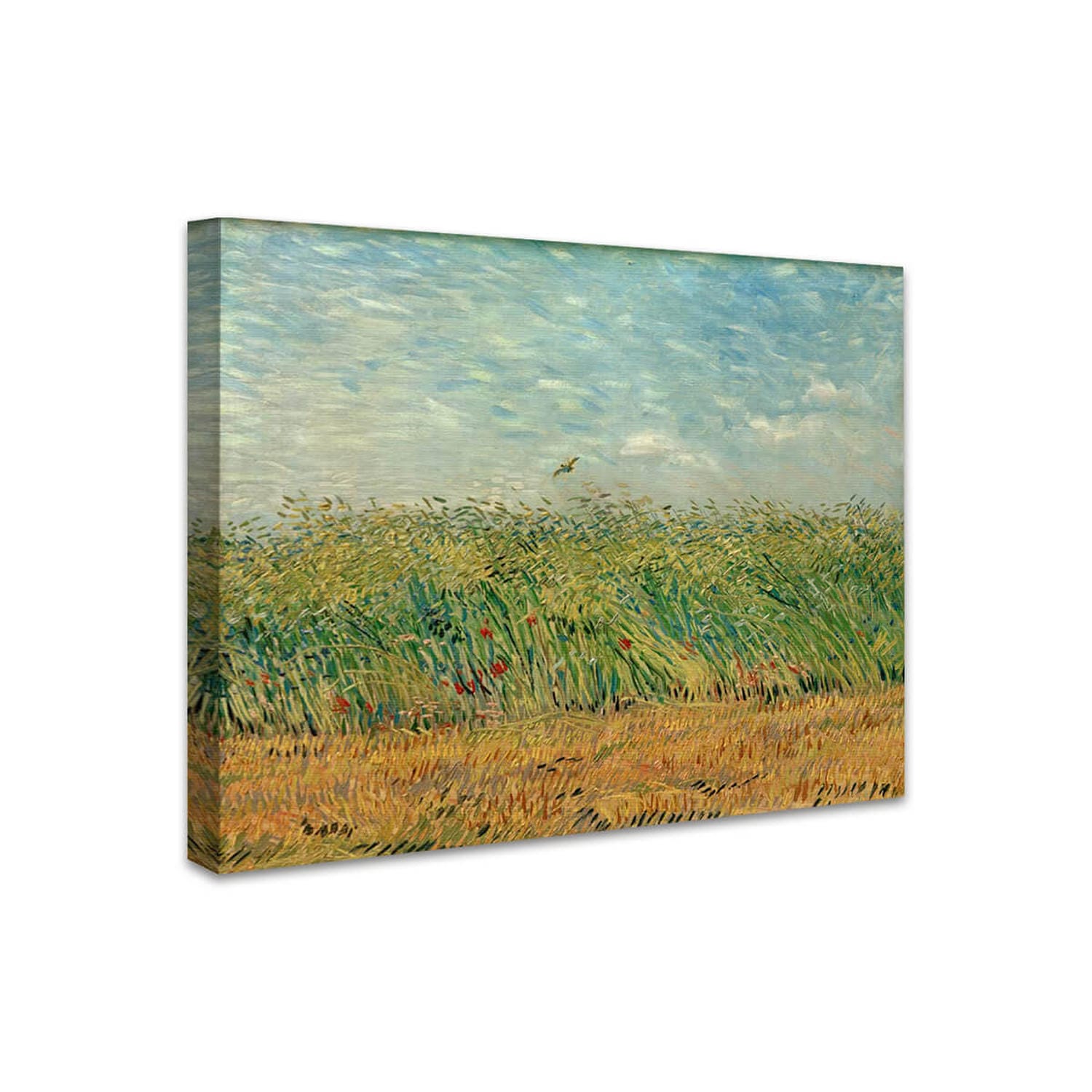 Getreidefeld mit Mohnblumen und Rebhuhn | Vincent van Gogh