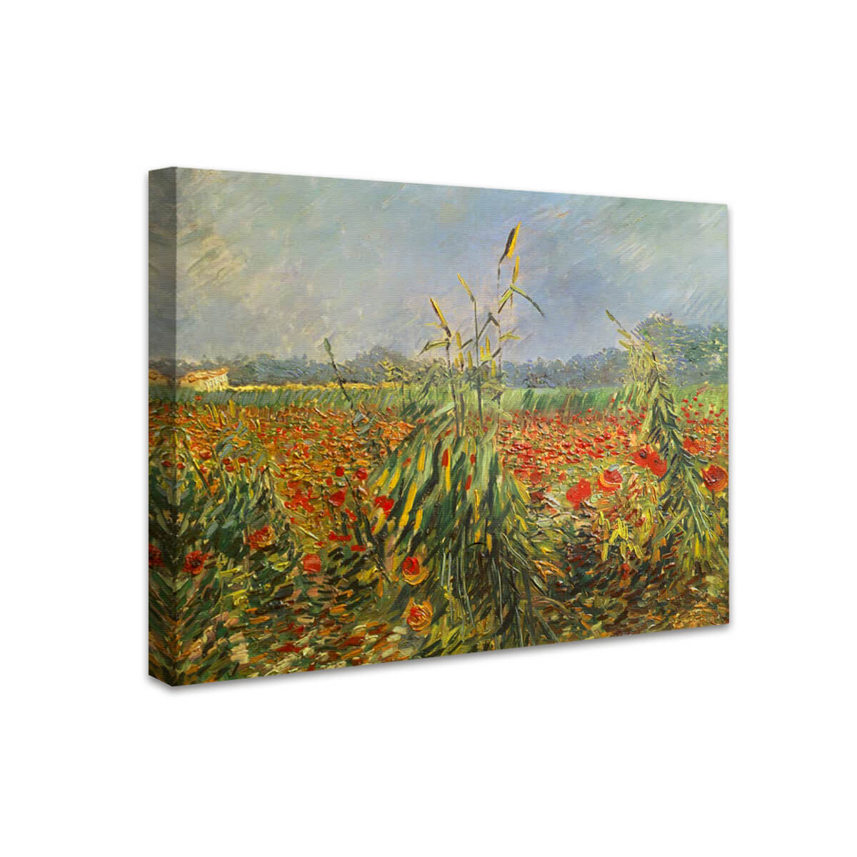 Grüne Kornhalme | Vincent van Gogh