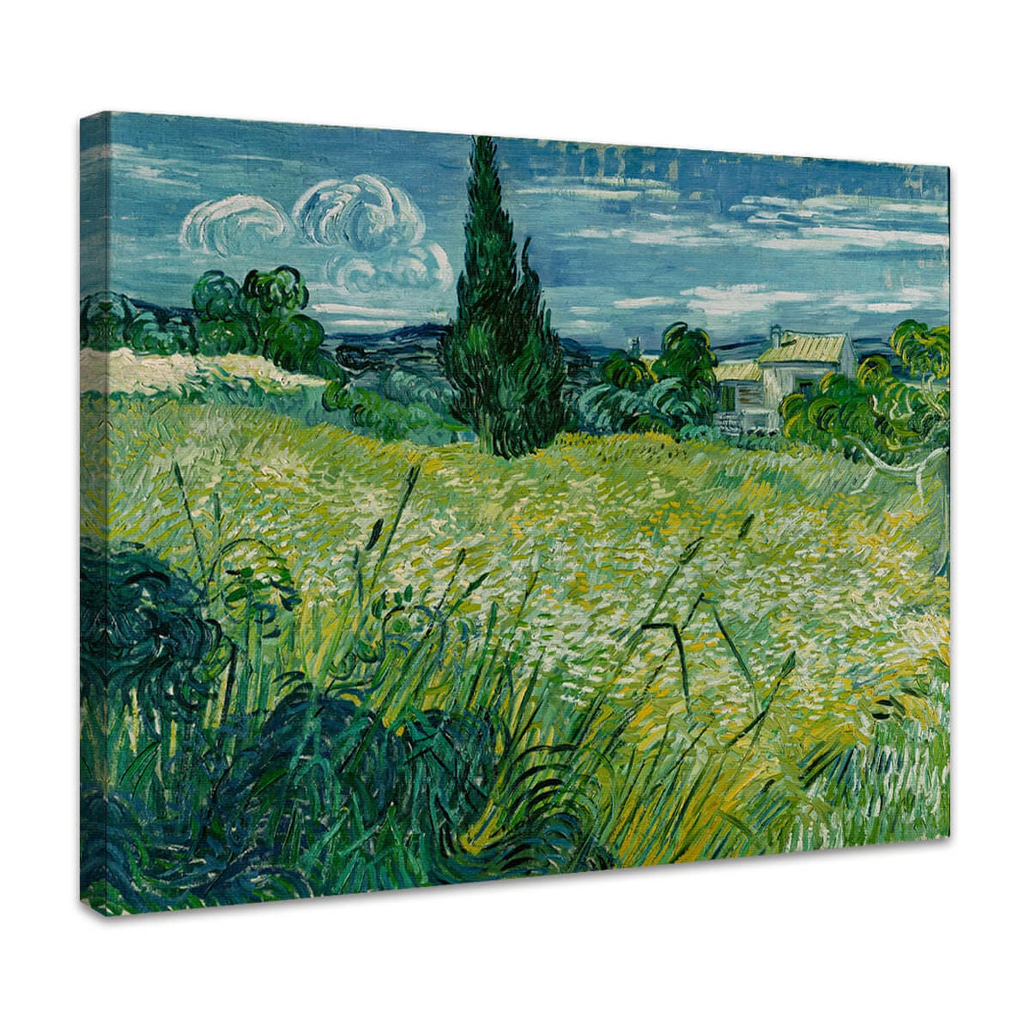 Grünes Weizenfeld mit Zypresse | Vincent van Gogh