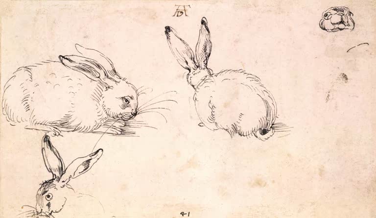 Kunstdruck „Hasenstudie“ von Albrecht Dürer