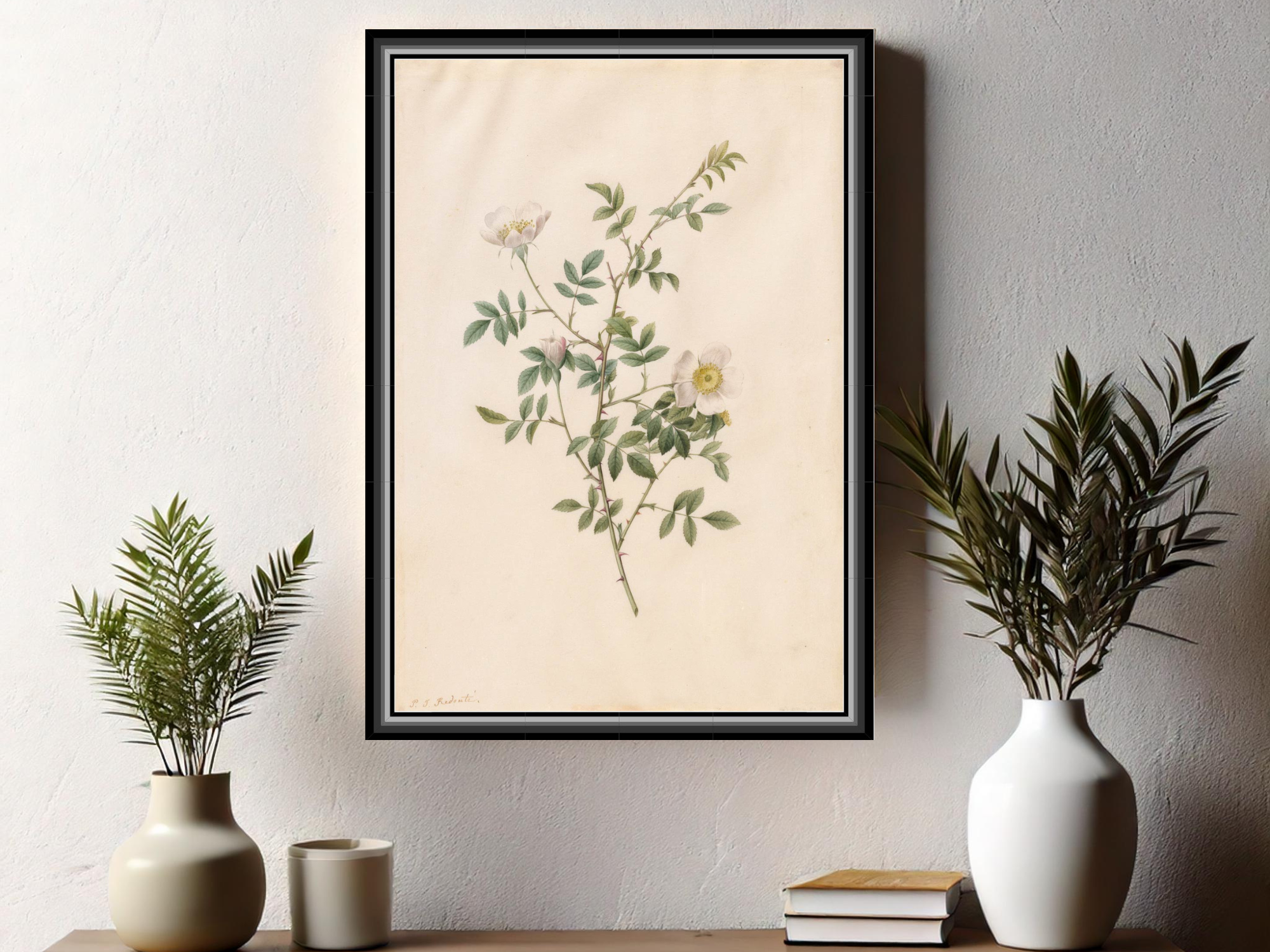 Heckenrose oder Hundsrose (Rosa Sepium Rosea) | Pierre-Joseph Redouté