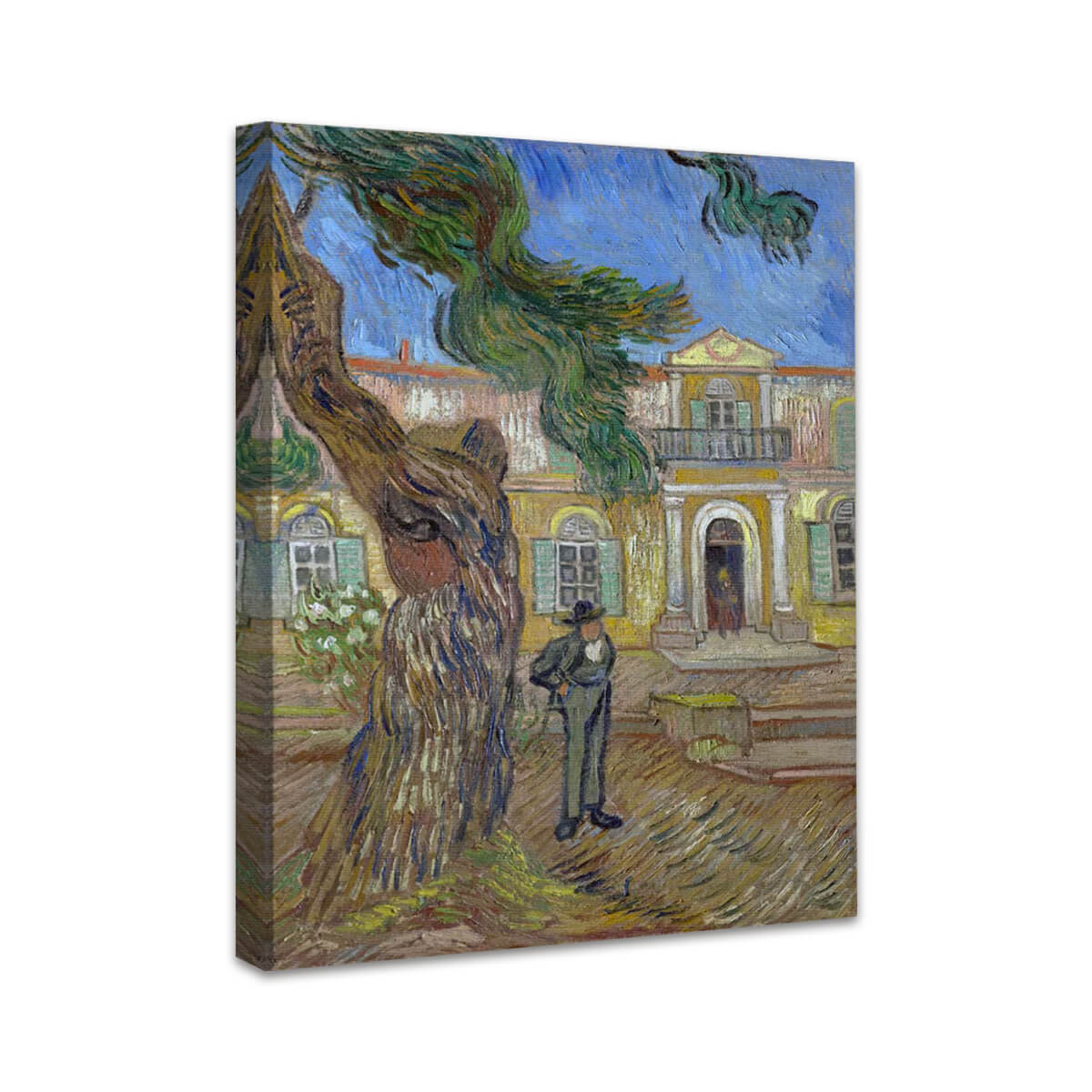 Hospital Saint Paul in Saint Remy | Vincent van Gogh