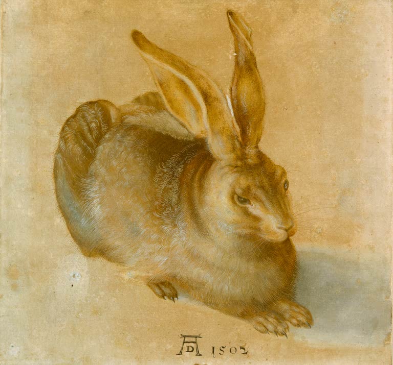 Kunstdruck „Junger Feldhase“ von Albrecht Dürer mit naturgetreuer Tierdarstellung eines Hasen