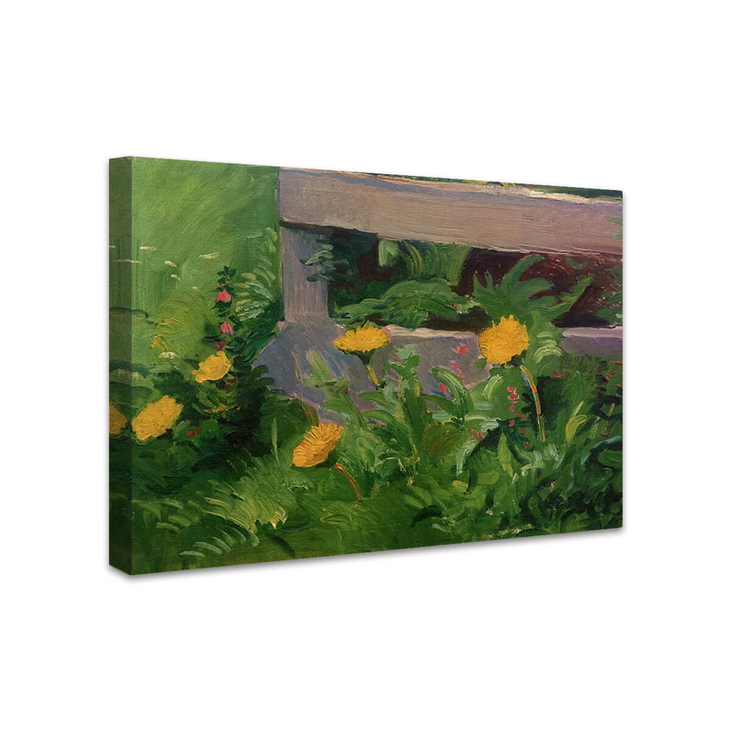 Kettenblumen an einem Holzzaun | August Macke