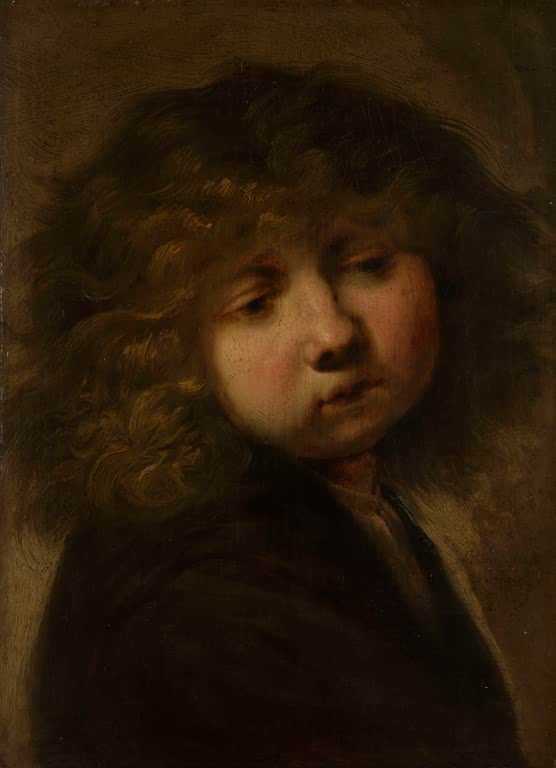 Kunstdruck Kopf eines Knaben von Rembrandt van Rijn

