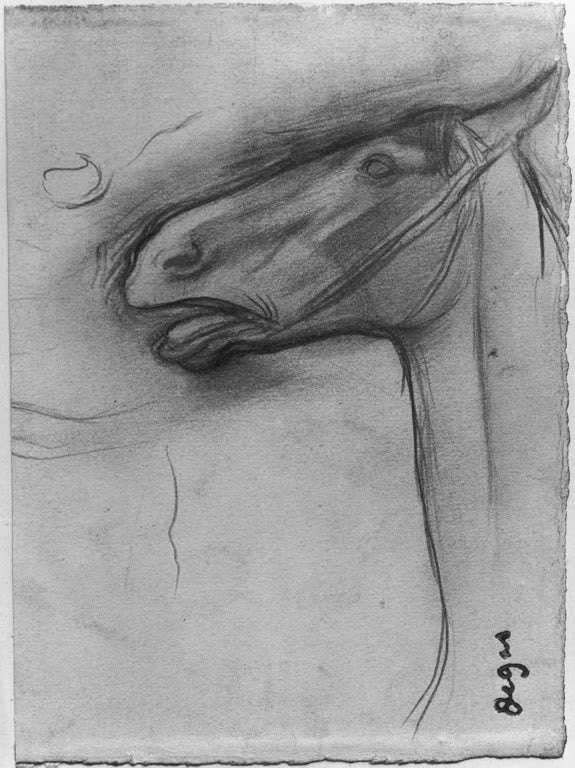 Kunstdruck des Gemäldes Kopf eines Pferdes von Edgar Degas mit einer detaillierten Darstellung eines Pferdekopfes.