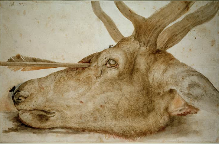 Kunstdruck von „Kopf eines getöteten Hirsches“ von Albrecht Dürer. Detailreiche Tierstudie aus der Renaissance mit naturgetreuer Darstellung, in Deutschland handgefertigt.