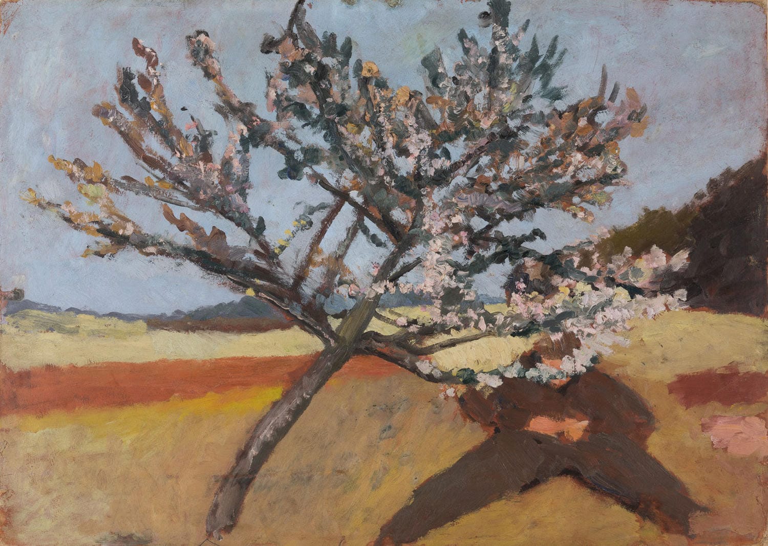 Liegender Mann unter blühendem Baum von Paula Modersohn-Becker – Ausdrucksstarkes Gemälde eines ruhenden Mannes inmitten einer blühenden Landschaft im Stil des frühen Expressionismus.