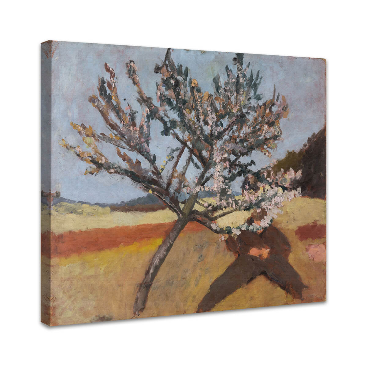 Liegender Mann unter blühendem Baum | Paula Modersohn-Becker