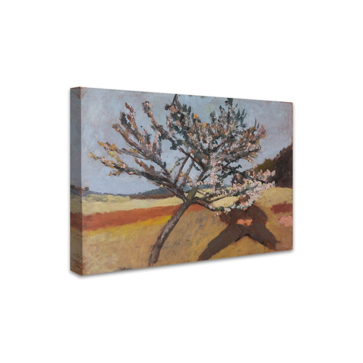 Liegender Mann unter blühendem Baum | Paula Modersohn-Becker