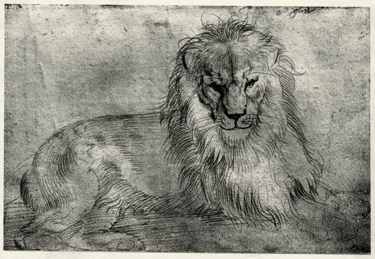 Kunstdruck des Gemäldes „Liegender Löwe“ von Albrecht Dürer in hochwertiger Druckqualität. Erhältlich als Poster oder auf Leinwand, optional auch gerahmt.