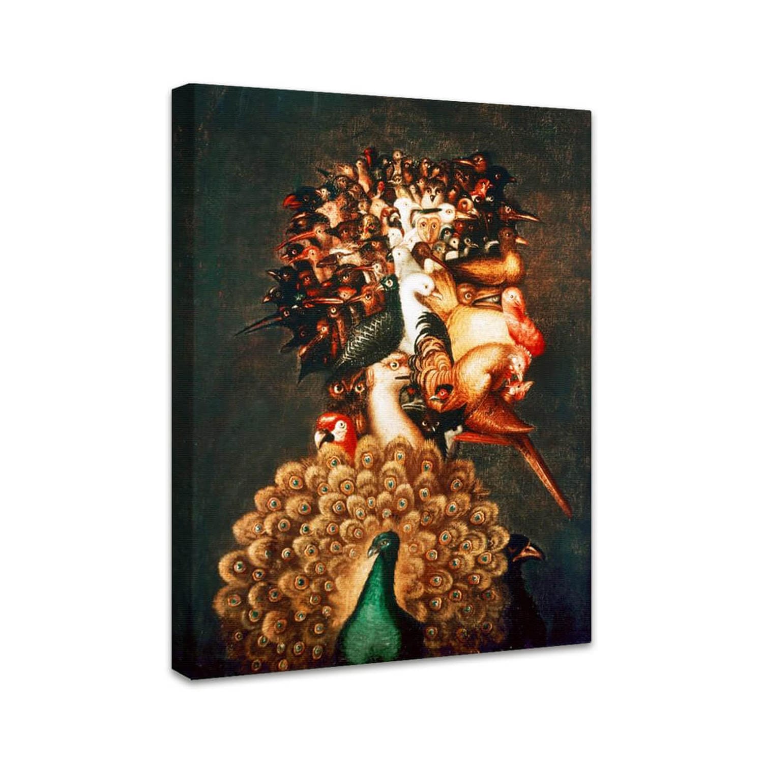 Luft | Giuseppe Arcimboldo