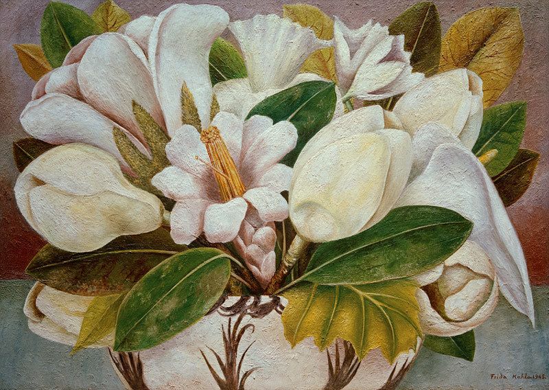 Magnolie von Frida Kahlo als Kunstdruck