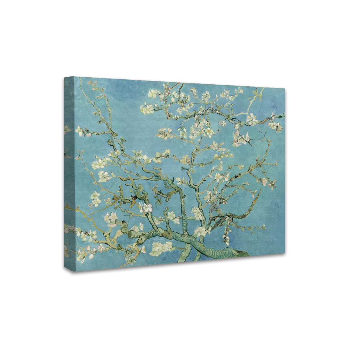 Mandelblüte | Vincent van Gogh