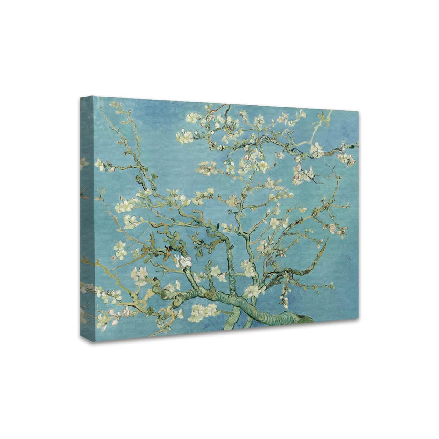 Mandelblüte | Vincent van Gogh