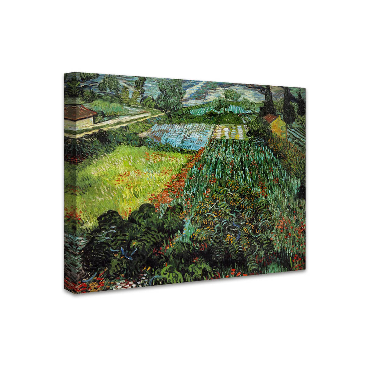 Mohnfeld | Vincent van Gogh